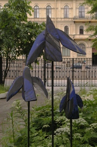 Dark blue birds
